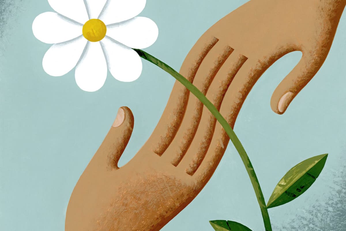 illustration of two hands extended holding a white flower between them