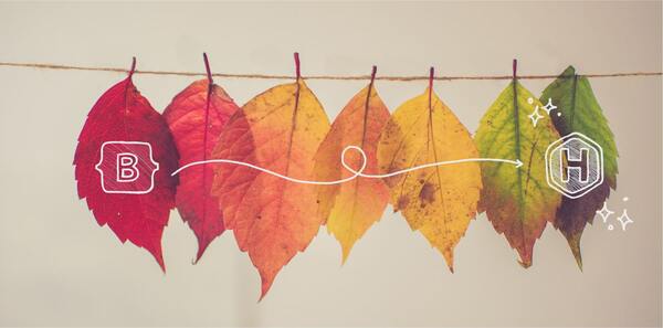 Photo illustration of leaves with Bootstrap and Hugo logos