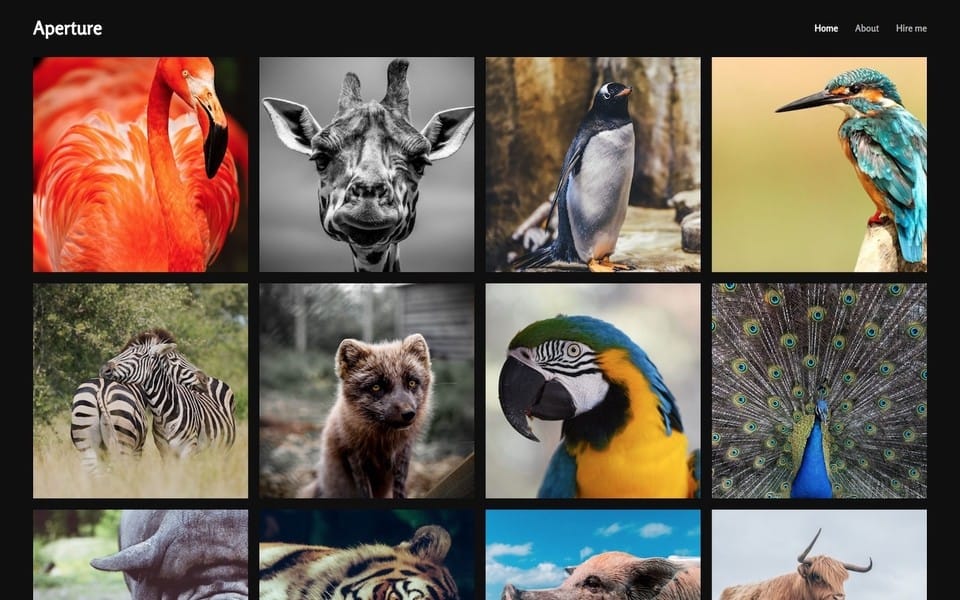 Screenshot of Apeture theme homepage layout with a photo library grid