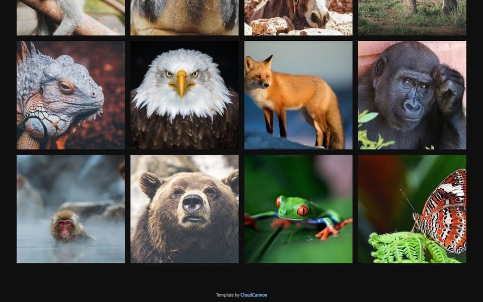Screenshot of Apeture theme, the bottom of the homepage window showing a photo library grid