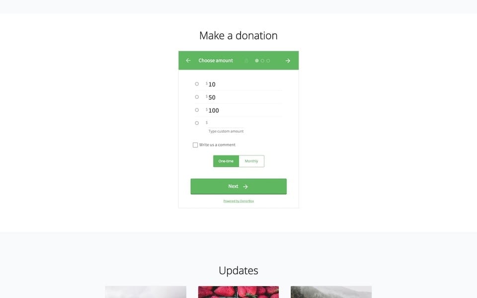 Screenshot of Cause theme layout of a donation page